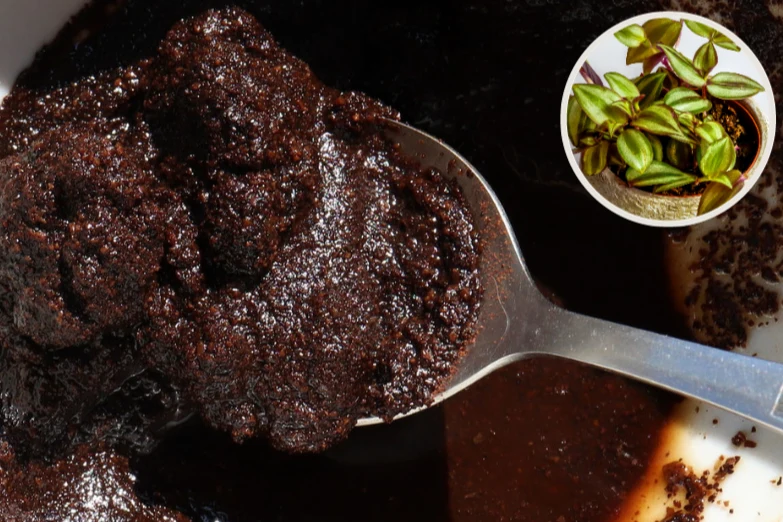 Fusy z kawy to świetny nawóz, ale nie nadaje się dla wszystkich roślin Fusy z kawy to świetny nawóz, ale nie nadaje się dla wszystkich roślin