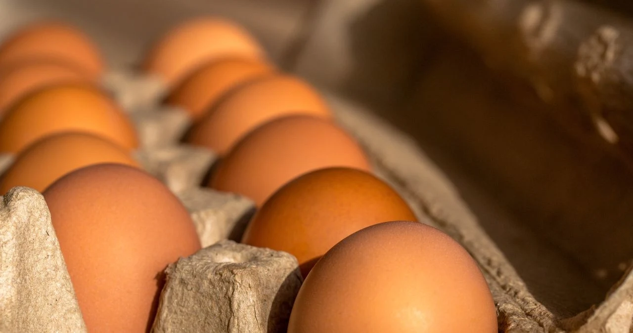 Ceny jajek w sklepach rosną. To efekt niedostatecznej liczby kur niosek i zmian w sposobie hodowli. Zdj. ilustracyjne Ceny jajek w sklepach rosną. To efekt niedostatecznej liczby kur niosek i zmian w sposobie hodowli. Zdj. ilustracyjne