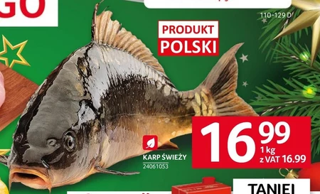 Karp