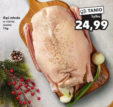 Gęś