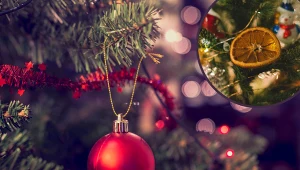 Suszysz pomarańcze na choinkę? Rób to w ten sposób, a nie stracą kształtu