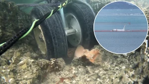 Amerykański samolot, który wpadł do zatoki u wybrzeży Hawajów, osiadł na rafie koralowej