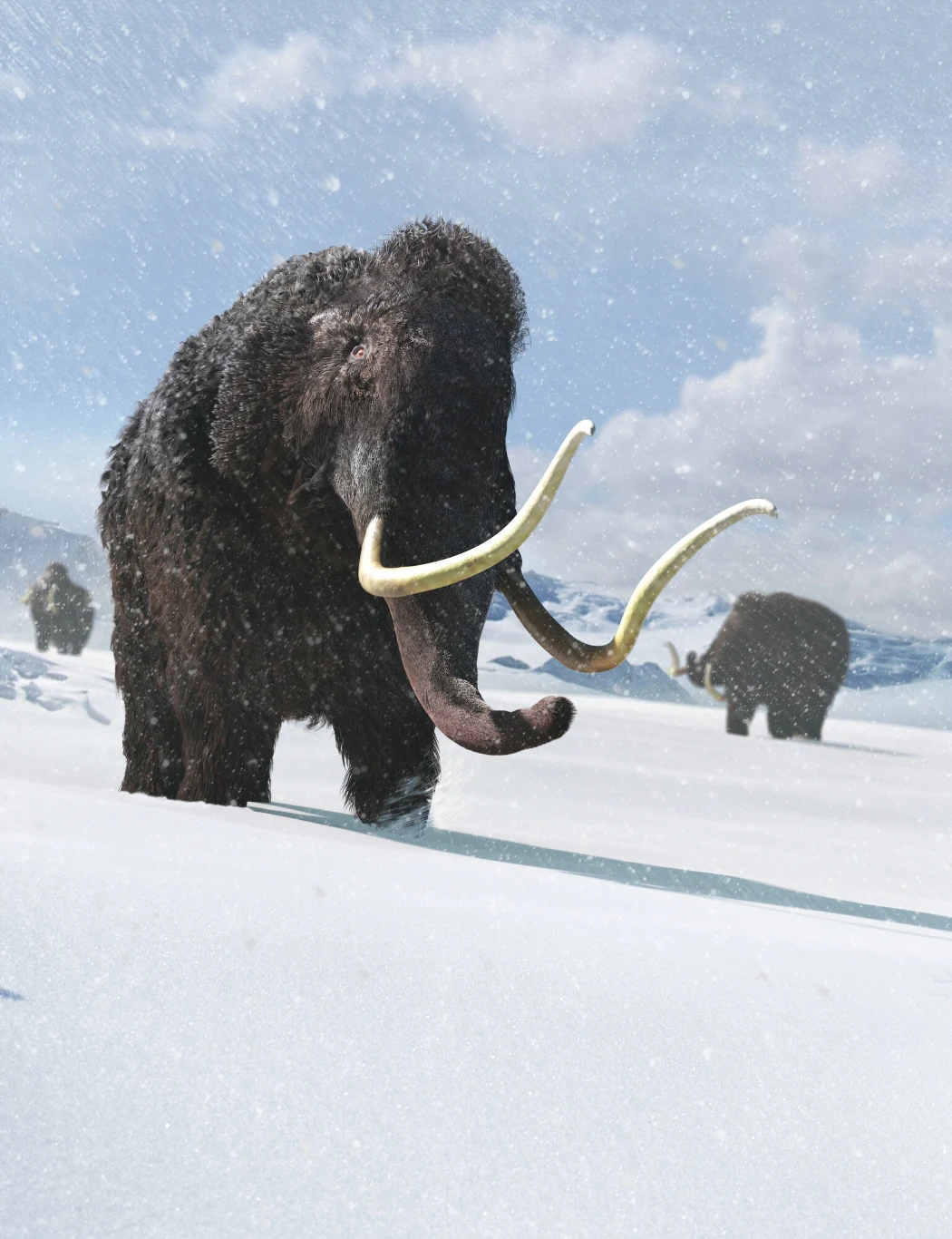 Mamut włochaty