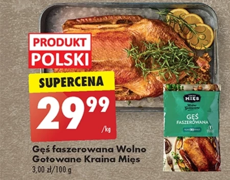 Gęś