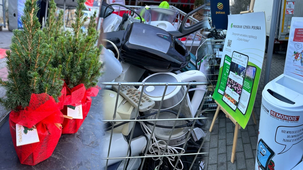 Pracownicy Grupy Polsat Plus w zamian za przyniesione elektroodpady mogli otrzymać świąteczne drzewka