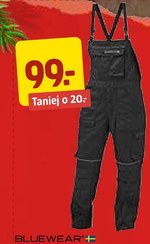 Ogrodniczki męskie Bluewear