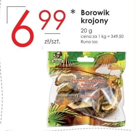 Borowik Runo las