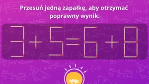 Test na inteligencję: Tylko osoby o sprytnym umyśle rozwiążą tę zagadkę