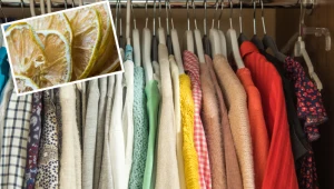 Pokrój w plastry i włóż do szafy, a na zawsze zapomnisz o uciążliwym problemie