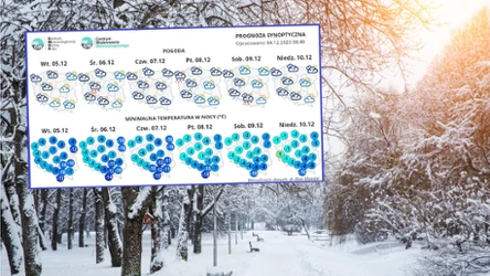 IMGW przedstawił synoptyczną prognozę pogody na nadchodzący tydzień. W nocy pojawi się silny mróz