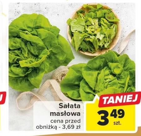 Sałata masłowa