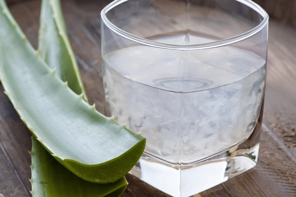 W jaki sposób sok z aloesu pomoże podczas odchudzania?