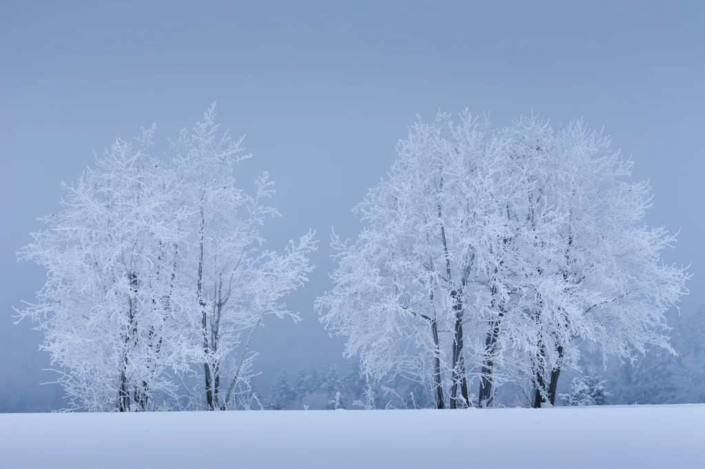 Planowany Turnicki Park Narodowy