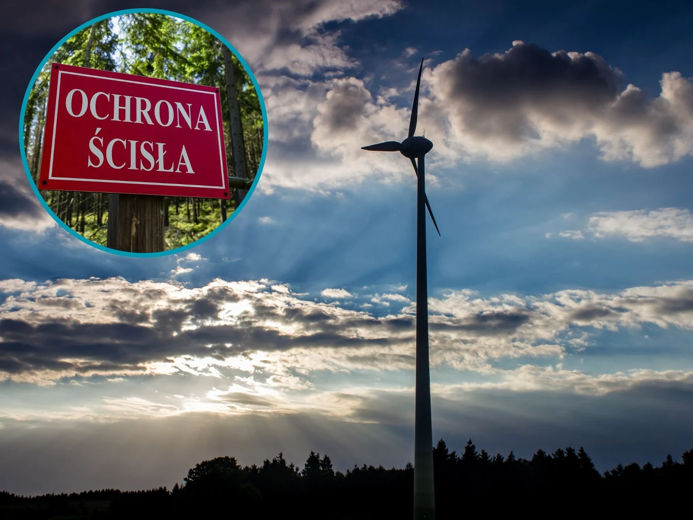 Przyroda a farmy wiatrowe. Potrzebne są konkretne regulacje Przyroda a farmy wiatrowe. Potrzebne są konkretne regulacje
