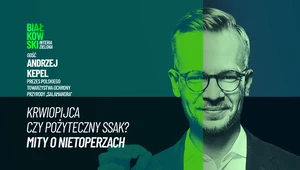 Krwiopijca, wegetarianin, czy pożyteczny ssak? Czas obalić mity o nietoperzach