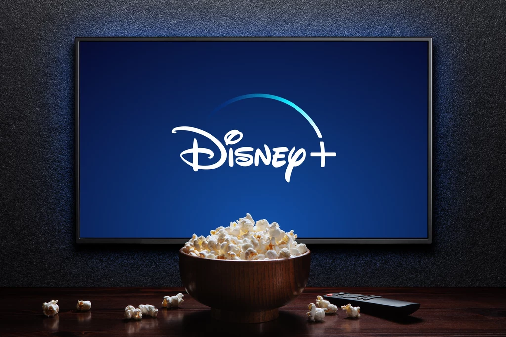 Disney+ na 2024 to same hity. Star Wars, Szogun i dużo więcej nowości