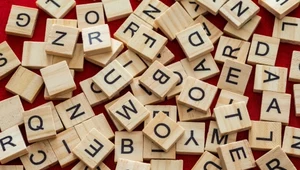 "Rel" – decyzją internautów – zostało Młodzieżowym Słowem Roku 2023