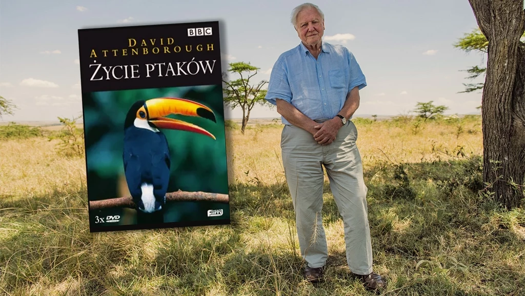 David Attenborough