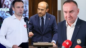 Andrzej Domański, Borys Budka i Michał Kobosko mają objąć kluczowe resorty gospodarcze w rządzie D. Tuska
