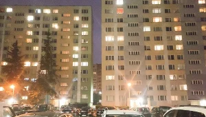 Ceny prądu w pierwszej połowie 2024 roku mają być zamrożone