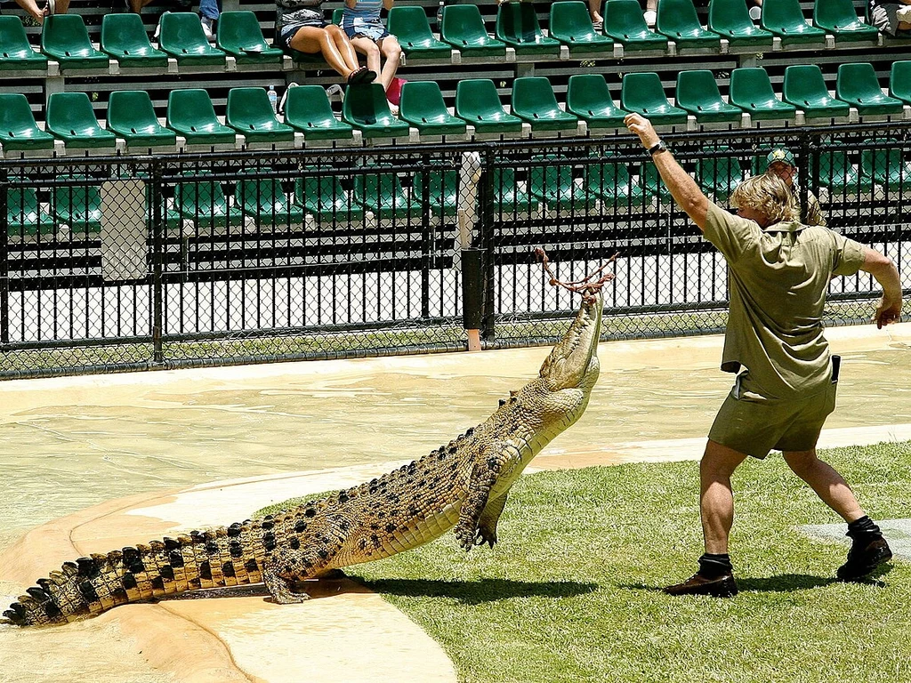 Steve Irwin w pokazie z krokodylem