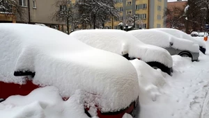 “Wychodzę tylko, gdy muszę”. Jak pracuje się na zewnątrz w trzaskające mrozy?