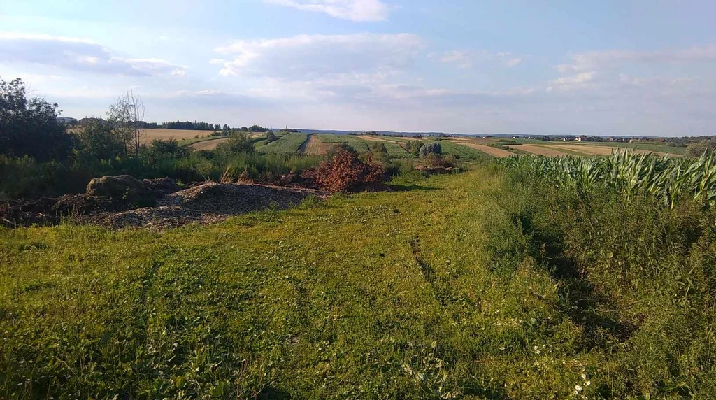 Okolice Liszek, gdzie znaleziono ciało Małgosi Okolice Liszek, gdzie znaleziono ciało Małgosi