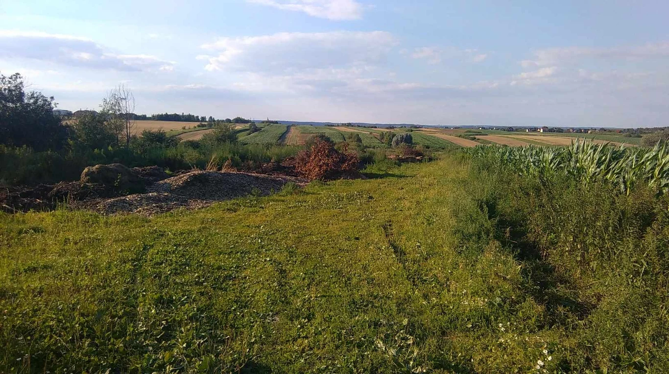 Okolice Liszek, gdzie znaleziono ciało Małgosi