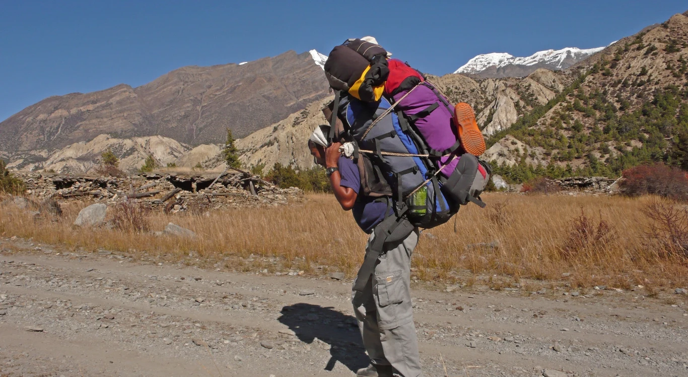 Szerp dźwigający plecaki "turystów"
