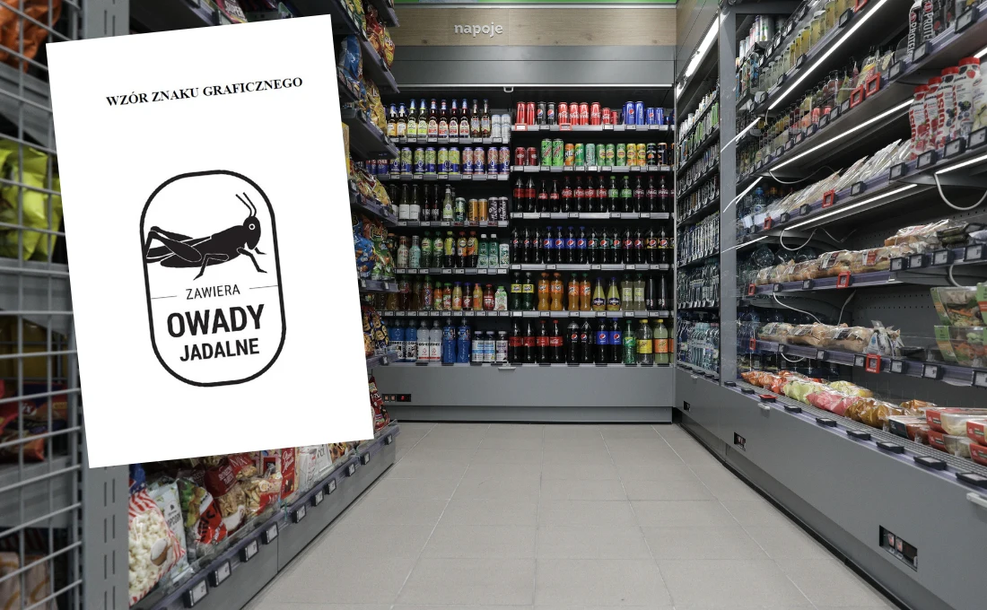 Ministerstwo Rolnictwa chce specjalnych oznaczeń na opakowaniach żywności. "Zawiera owady jadalne" Ministerstwo Rolnictwa chce specjalnych oznaczeń na opakowaniach żywności. "Zawiera owady jadalne"