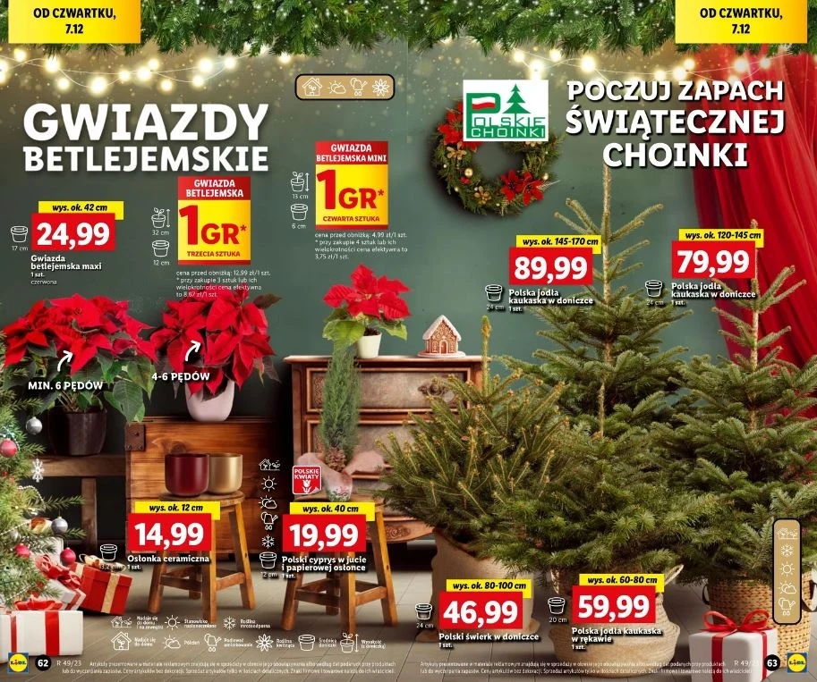 Lidl oferuje choinki w niskich cenach! Lidl oferuje choinki w niskich cenach!