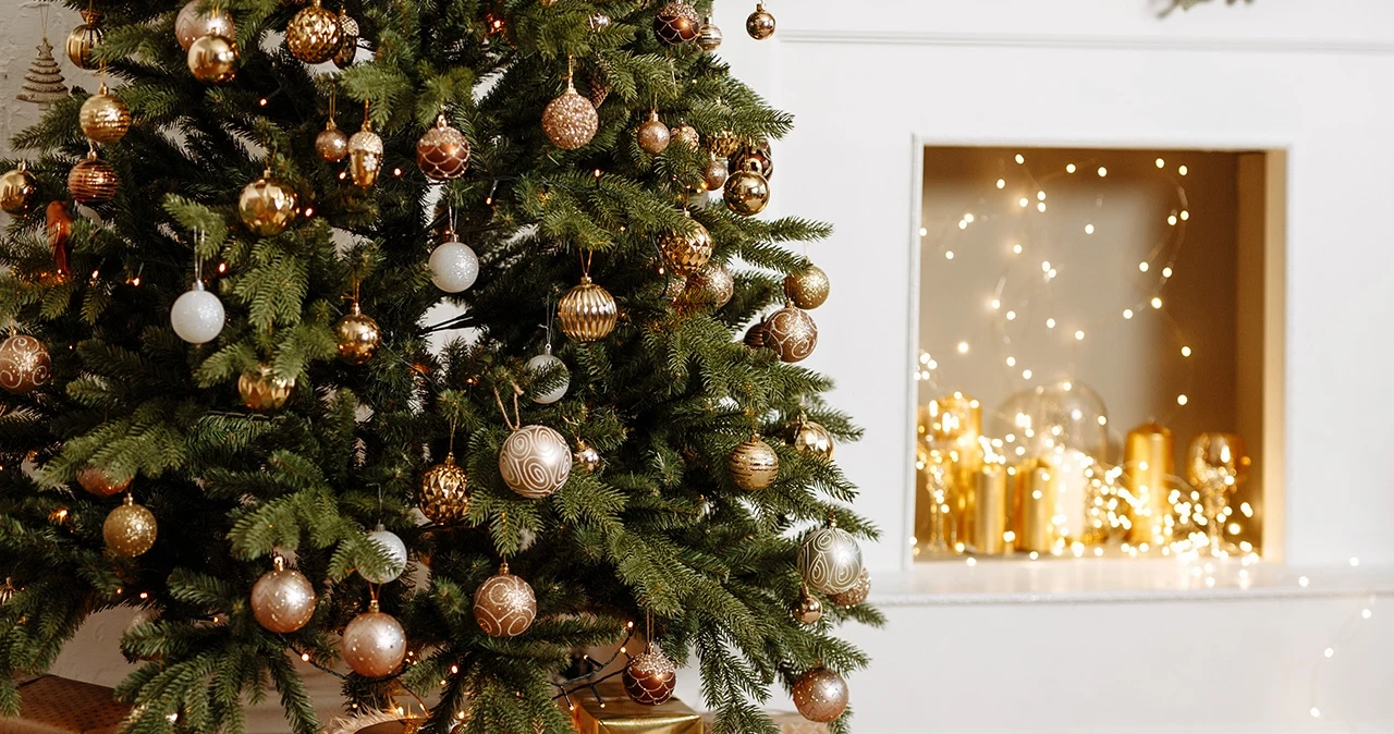 Jakie sklepy oferują promocje na choinki? Jakie sklepy oferują promocje na choinki?