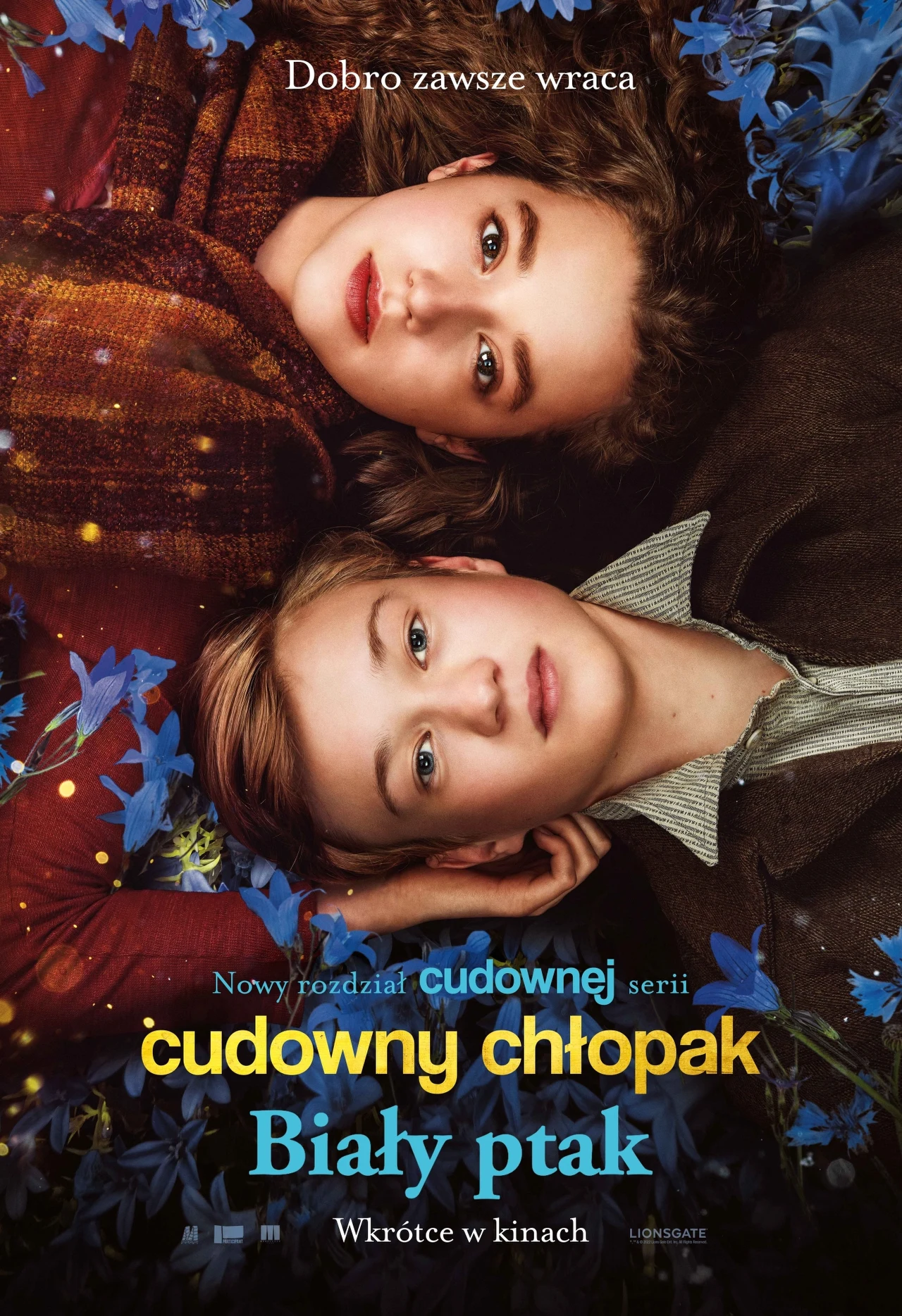 Plakat filmu "Cudwony chłopak. Biały ptak" Plakat filmu "Cudwony chłopak. Biały ptak"
