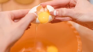 Jak sprawdzić, czy jajko jest świeże? Tak unikniesz kulinarnej katastrofy 