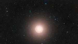 Betelgeza ulega ściemnianiu. Wyjaśnienie zagadki gwiazdy może być proste