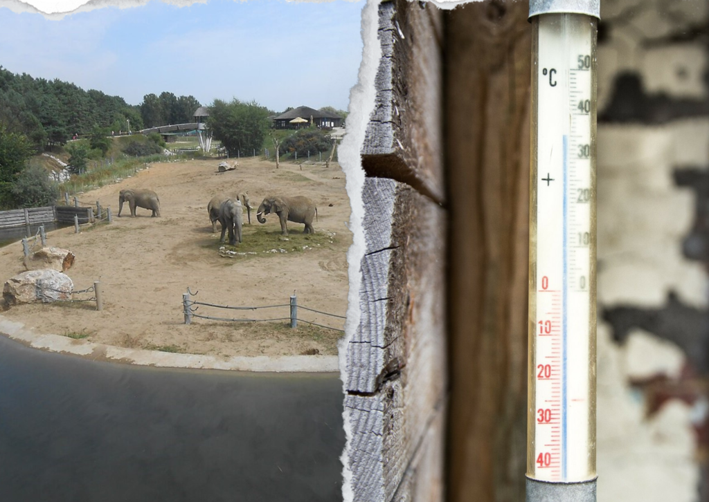 Słoniarnia w Zoo Poznań