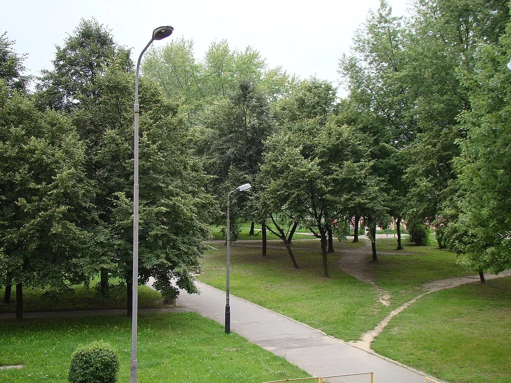 Drzewa w Łodzi