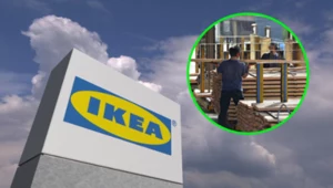 Decyzja Lasów Państwowych może ograniczyć liczbę klientów na polskie drewno. Wśród nich jest Ikea