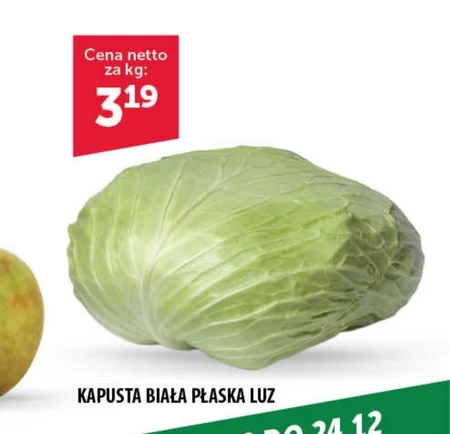 Kapusta biała Netto