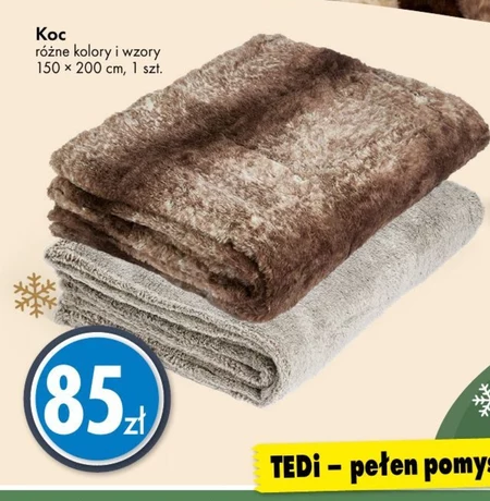 Koc TEDi