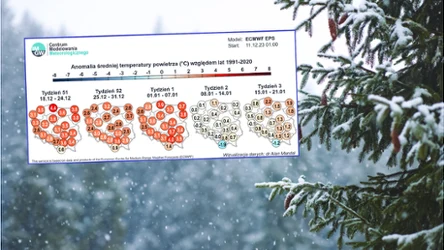 Zaprezentowana przez IMGW prognoza długoterminowa od ECMWF nie daje wielkich nadziei na śnieżne Święta Bożego Narodzenia