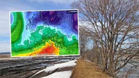 Z prognoz IMGW wynika, że w środę warunki w Polsce będą bardziej jesienne, niż zimowe. Trwa odwilż. Warunki biometeorologiczne będą niekorzystne