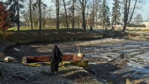 Karp prosto z zakonu. Jak benedyktynki ze Staniątek sprzedają własne ryby