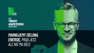 Polska marnuje zieloną energię. "Zaczyna być problem"