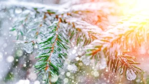 "Śnieg tylko w reklamach". Synoptycy nie mają złudzeń