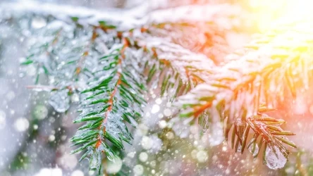 Według synoptyków IMGW kolejne tygodnie grudnia będą cieplejsze niż zwykle. Szanse na śnieg w Święta Bożego Narodzenia są minimalne