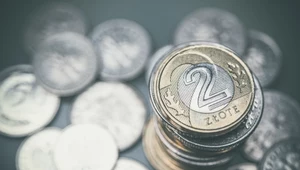 NBP wypuszcza nietypową monetę. To 10 zł o dziwnym kształcie (zdj. ilustracyjne)