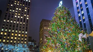 Mieszkańcy tych miast uwielbiają święta. To tu stoją najpiękniejsze choinki na świecie
