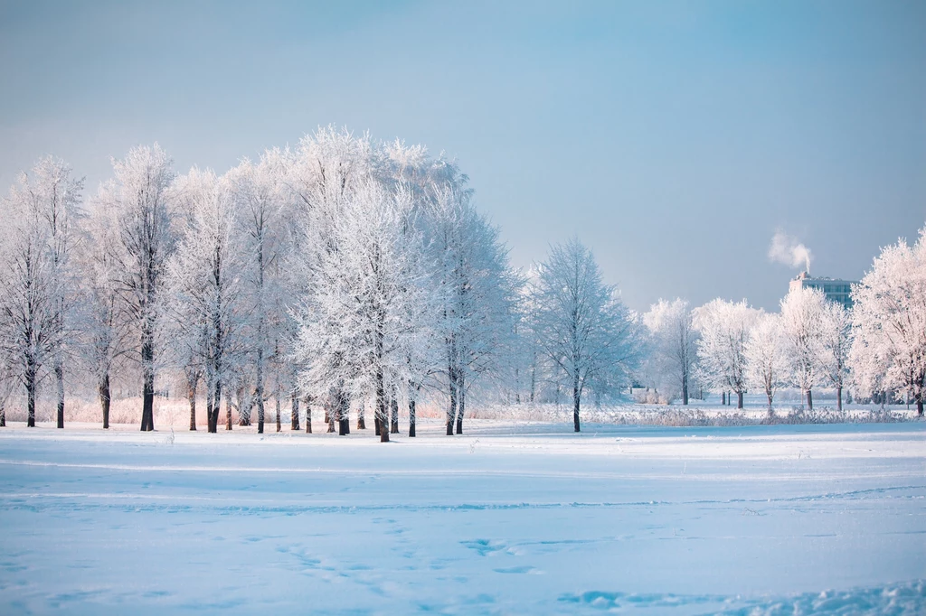Zimowe przesilenie w tym roku zbiega się z pierwszym dniem zimy kalendarzowej. 