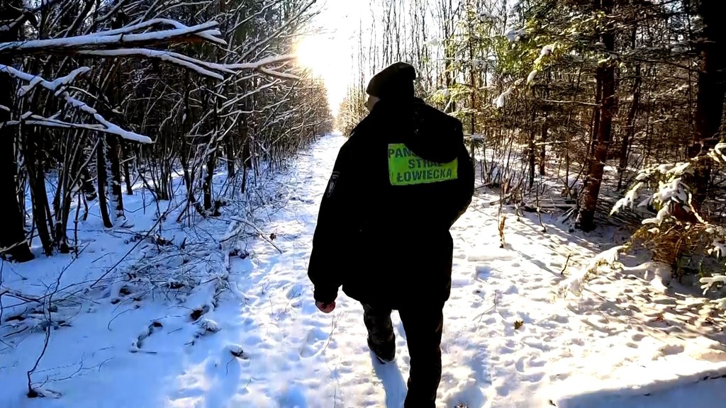 Grudzień to okres, gdy w lasach jest najwięcej złodziei i kłusowników. Policja, straż łowiecka i myśliwi łączą siły, aby powstrzymać nielegalny proceder w polskich lasach